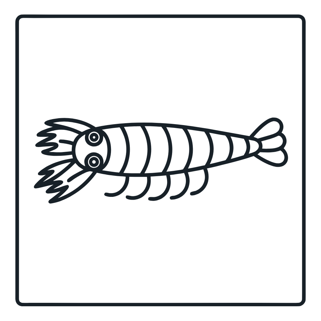 Ausmalbild mit Anomalocaris