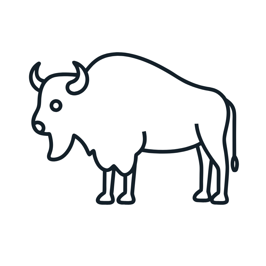 Ausmalbild mit Bison