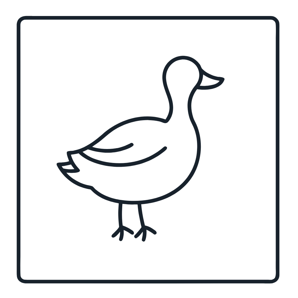 Ausmalbild mit Ente