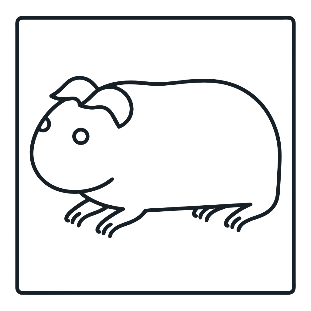 Ausmalbild mit Meerschweinchen